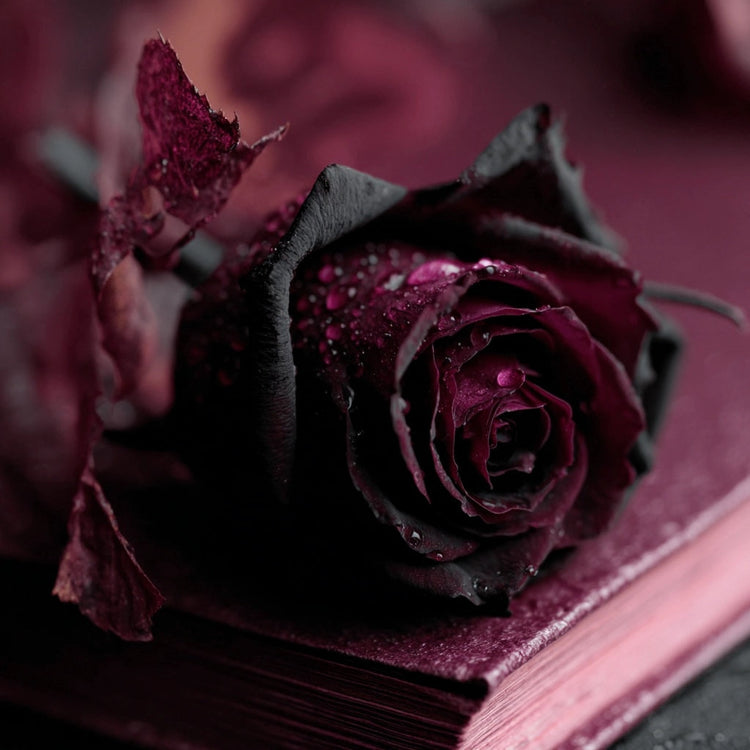 Feral Fiction Collection